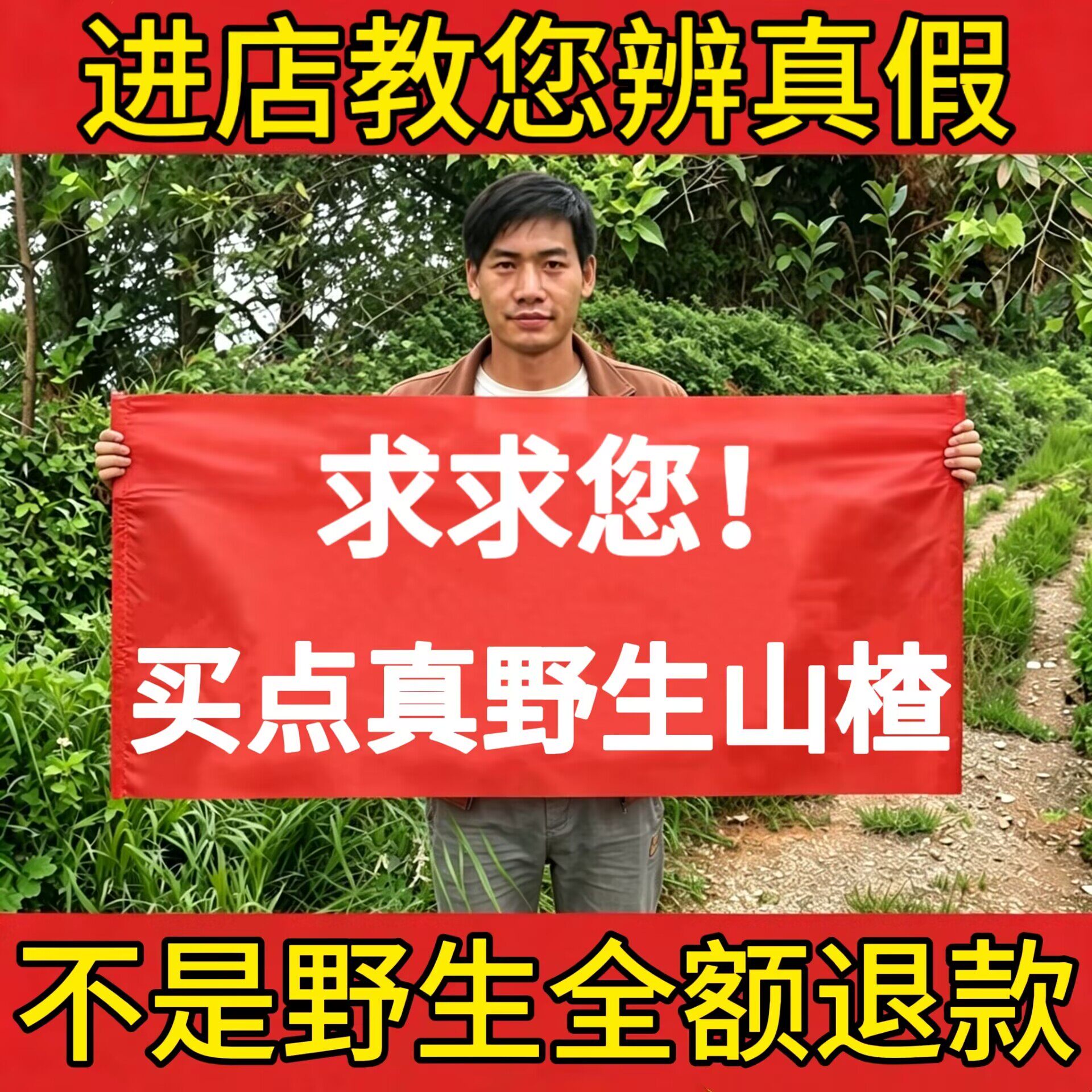 正宗野生山楂茯苓500g原味空心山楂干泽泻无籽泡水去核无熏硫新货