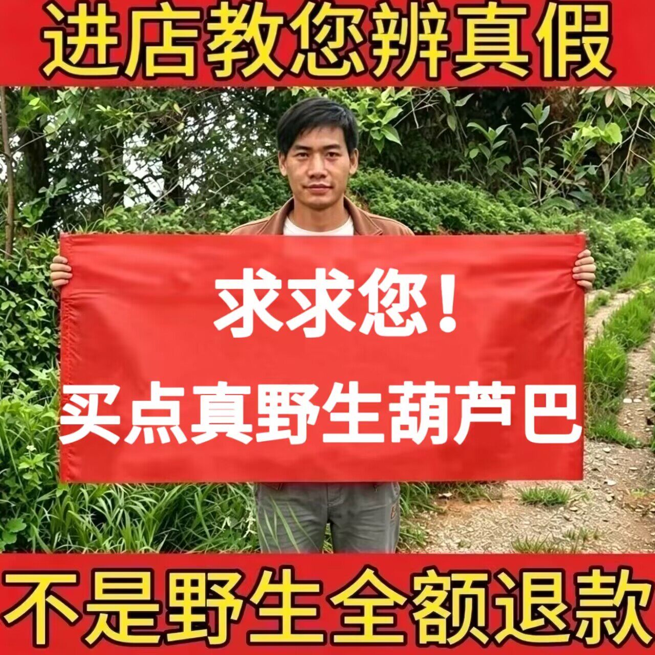 野生葫芦巴中药材500g正品精选新鲜干货葫芦巴籽芦巴子无硫泡茶水