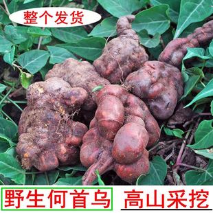 【5斤装】贵州野生黑何首乌新鲜生首乌首乌干片可磨粉正品药材