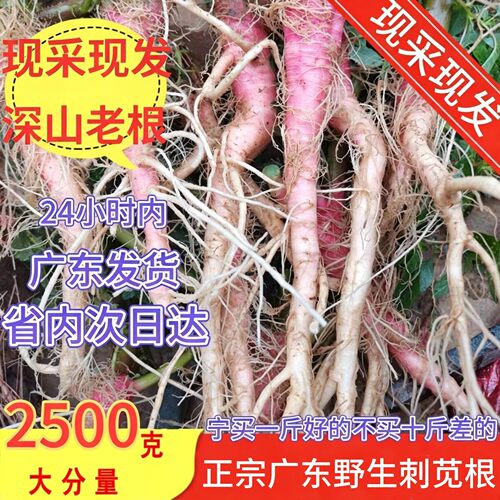 【真野生】现挖现发红梗老刺苋根