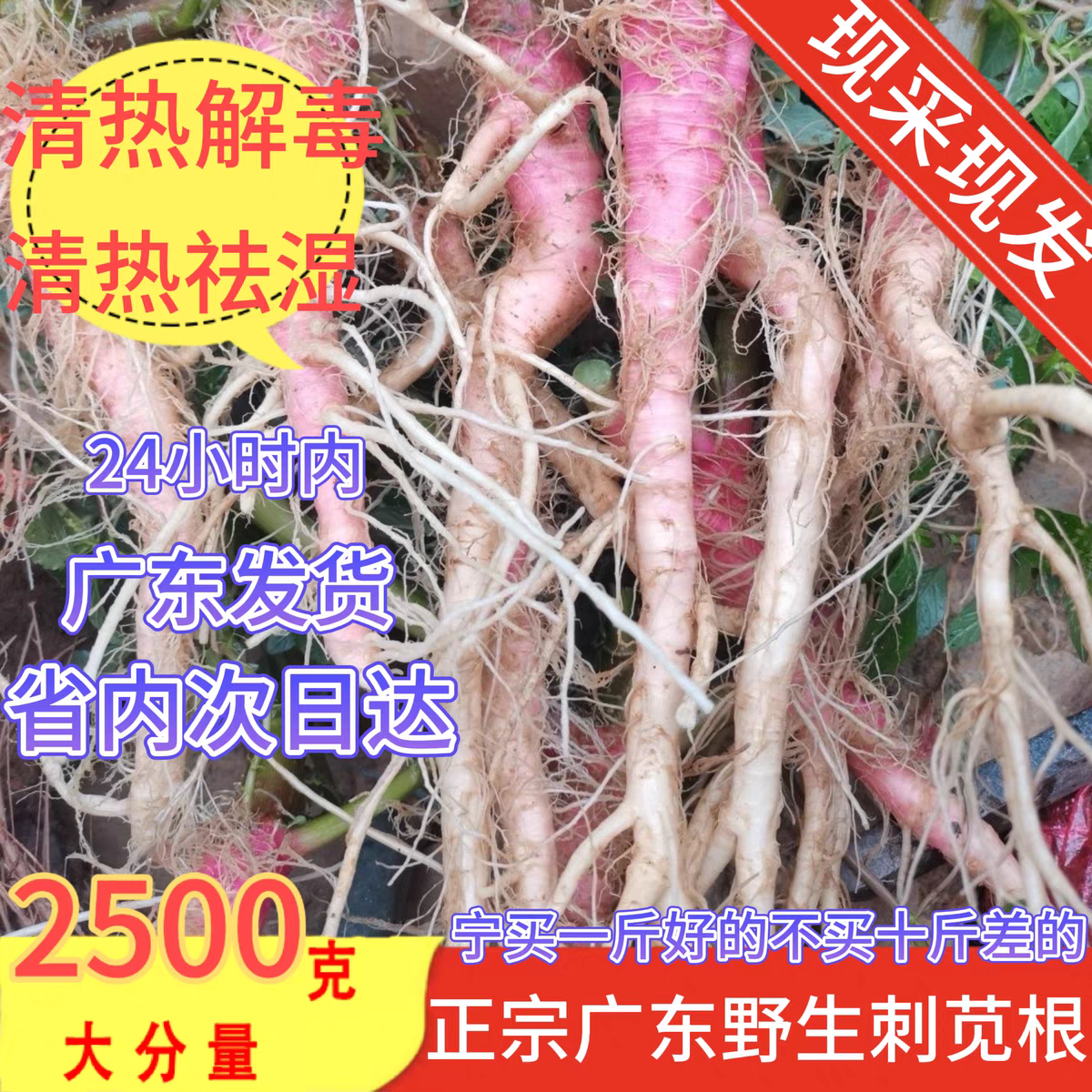 【真野生】现挖现发红梗老刺苋根