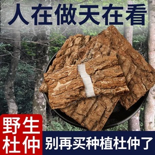 杜仲中药材500g正品官方旗舰店野生牛大力巴戟肾补泡水喝压降茶酒