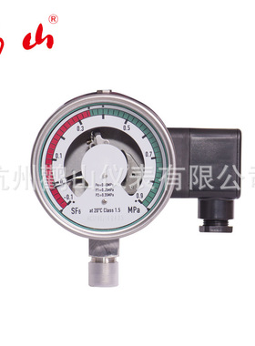 Y100密度继电器 SF6密度继电器 高压开关柜继电器 密度电接点