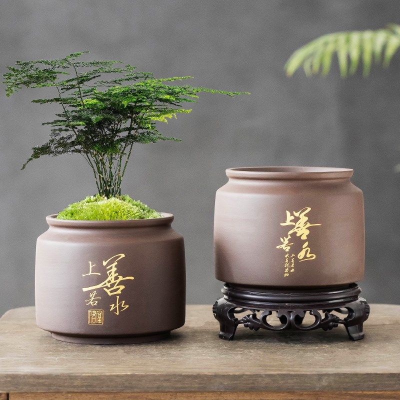 速发紫砂多竹花文室内客厅君子兰花卉绿植盆栽透气盆肉榕树盆景盆