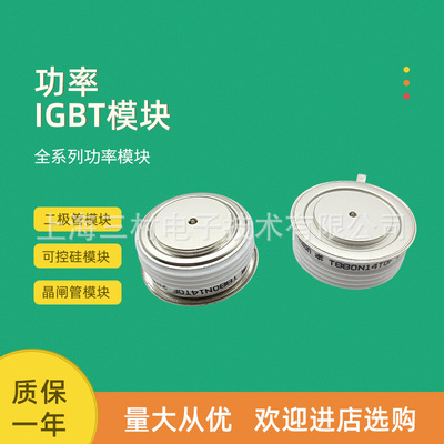 全新平板晶闸管T730N36TOF T730N38TOF T730N40TOF T730N42TOF