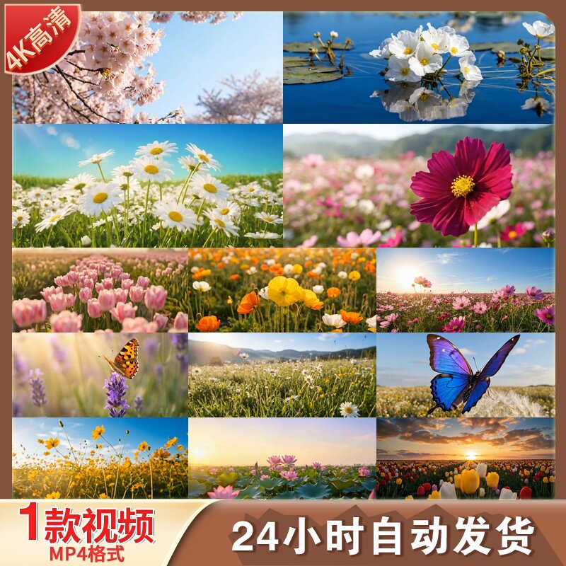 高清鲜花花朵花海花田自然风光春天唯美蝴蝶蜜蜂向日葵视频素材