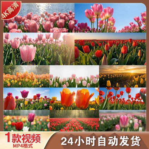 高清郁金香花园浪漫花海阳光春天自然风光绽放空镜清新视频素材