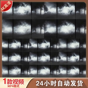 高清迷雾森林幽暗氛围夜晚黑暗寂静神秘灵异vj舞台背景视频素材