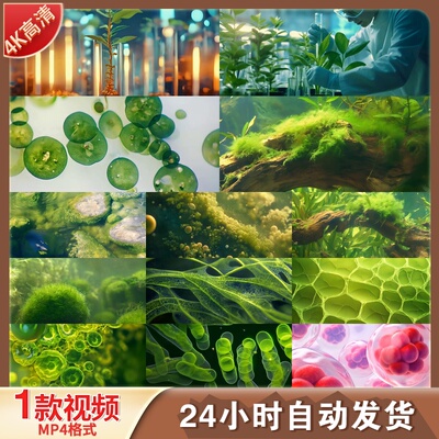 高清藻类科学实验生物燃料植物细胞细菌池塘水池海底环保视频素材