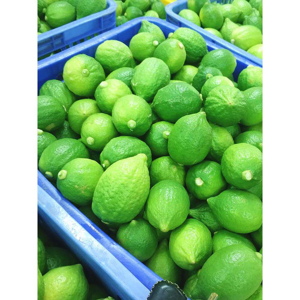 香水柠檬新鲜5斤装咖啡奶茶店柠檬膏专用水果无籽四季青柠檬包邮