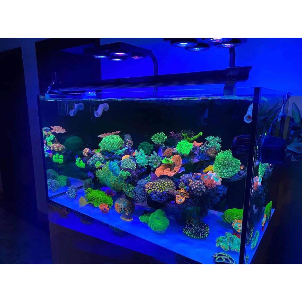 海缸膜海缸贴膜海水缸珊瑚缸过滤蓝光去蓝光膜海缸拍照滤镜玻璃膜,家居饰品,玻璃膜/贴,淘宝优惠券,粉丝福利购,淘宝优惠卷