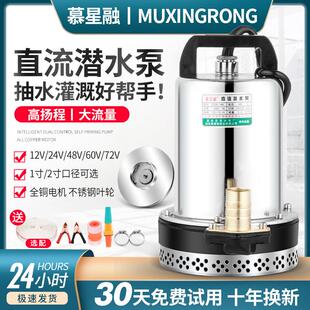 48V电动车直流潜水泵12V24V60V72V电动车抽水机高扬程抽水泵农用