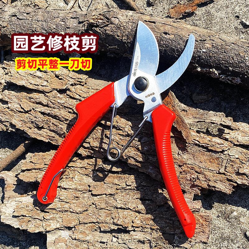 佐川田进口钢果树园艺修枝剪小枝条剪刀园林省力树枝剪果树剪