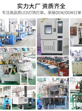 圣诞彩灯万圣节彩灯英寸蝙蝠白色LED霓虹管万圣节造型灯定制