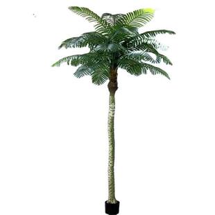 仿真小椰子树仿真美丽针葵树小棕榈树室内外绿植盆栽落地造景装饰