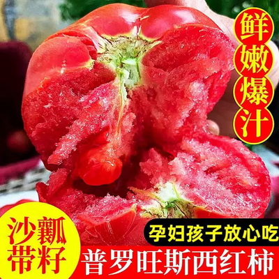 正宗山东普罗旺斯西红柿新鲜自然熟沙瓤普旺斯西红柿5斤产地直发