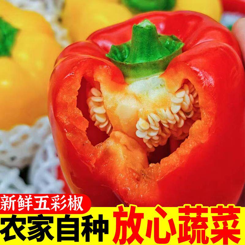 寿光五彩甜椒水果辣椒混装红黄彩椒生吃灯笼椒新鲜辣椒整箱包邮