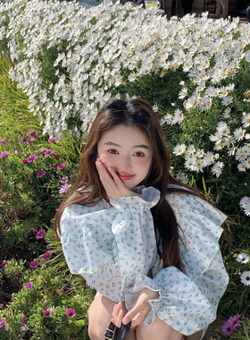 范雯雯 香甜草莓 蓝色印花薄款衬衫女春季宽松百搭少女风长袖上衣