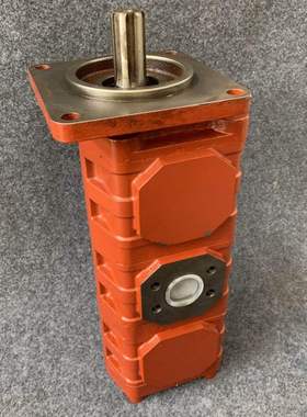 P124-G20182LD54G泊姆克齿轮泵