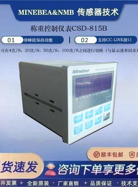 日本NMB 96 mm×96 mm 带峰值保持功能CSD-815B