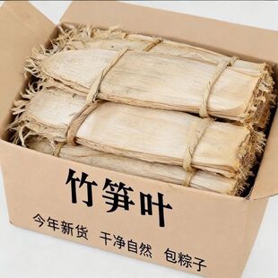 粽叶天然野生毛竹笋壳叶笋叶大宽叶老式粽子叶正宗粽叶大号包粽子