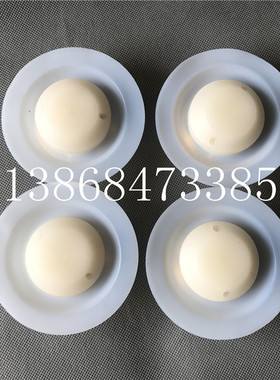 米顿罗计量泵配件GM0090-GM0050TR隔膜组件总成 进出口PVDF单向阀