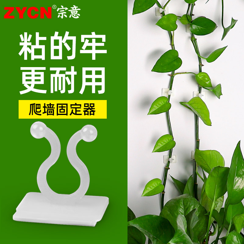 绿萝固定器爬墙绿植神器爬藤花枝墙壁夹夹子藤蔓上墙扣子绿箩盆栽