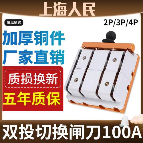 正品双投倒顺闸刀开关两相家用电源切换刀闸100A电动车转换电闸