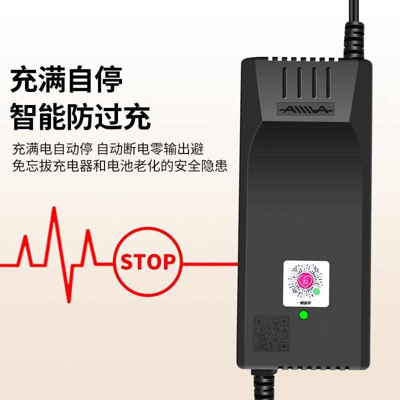 爱玛电动车充电器原装官方正品铅酸蓄电池电瓶60V48伏72V12ah20ah