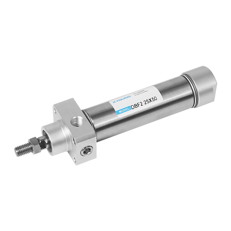 DBS2 32X100方头不锈钢迷你气缸DBF2 32X5Q0固定型不锈钢迷你气缸