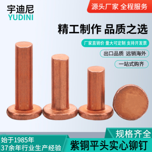 速发敲击式 GB10平头紫6铆钉铜钉M心卯丁平帽M1.52.5实4M5M铜M8