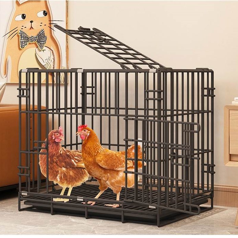 速发鸡笼子家用室内养鸡笼自动清粪室外鸭笼子特大号鸽子鸡舍鸡窝