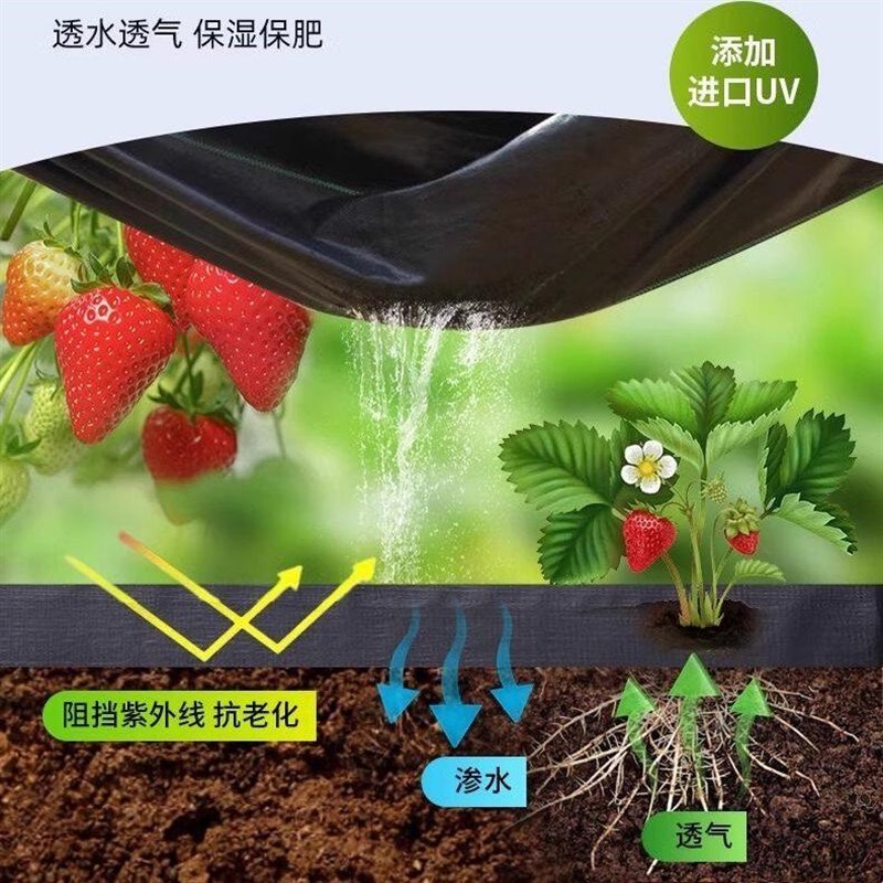 速发果园防草布地膜新型除草布耐用遮草地布盖草布果树专用隔草布