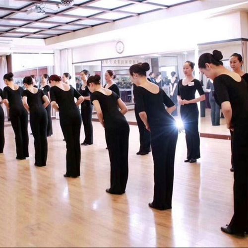 速发云裤逸蹈舞形体裤练功裤古典舞民舞裤拉丁舞广场舞裤子长裤