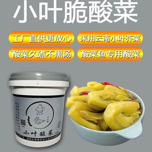 逗小六广东揭阳老坛腌制小叶芥菜