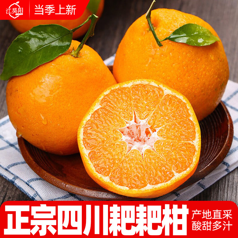 江昊阳正宗四川眉山春见耙耙柑新鲜水果应季粑粑橘子桔子现摘发货,水产肉类/新鲜蔬果/熟食,桔子,淘宝优惠券,粉丝福利购,淘宝优惠卷