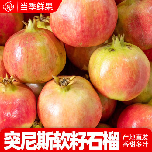 正宗突尼斯软籽石榴产地直发