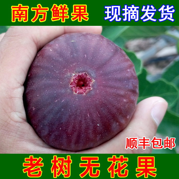 顺丰包邮云南红皮无花果5