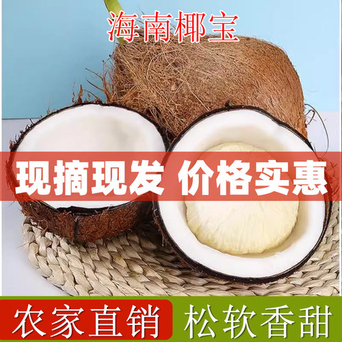 海南新鲜椰宝正宗发芽老椰子肉
