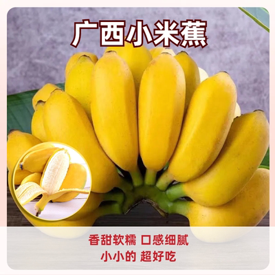 广西小米蕉当季水果新鲜自然熟banana整箱苹果蕉香蕉芭蕉包邮