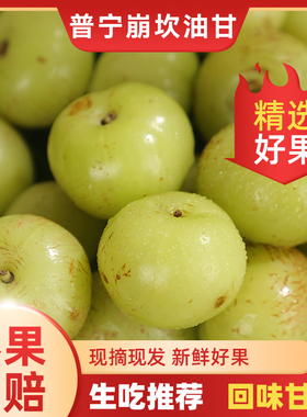 现摘潮汕特产油柑王新鲜柿饼甜种油甘果余甘果5斤农家水果牛甘子