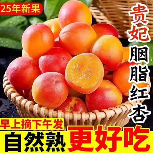 陕西头茬胭脂红杏丰园红杏贵妃杏子应季新鲜水果大果整箱产地直发