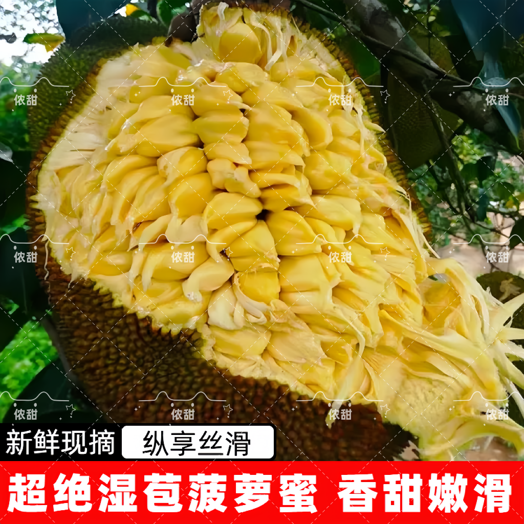 广西菠萝蜜湿苞新鲜软糯树菠萝榴莲昧当季农家野生新鲜水果包邮