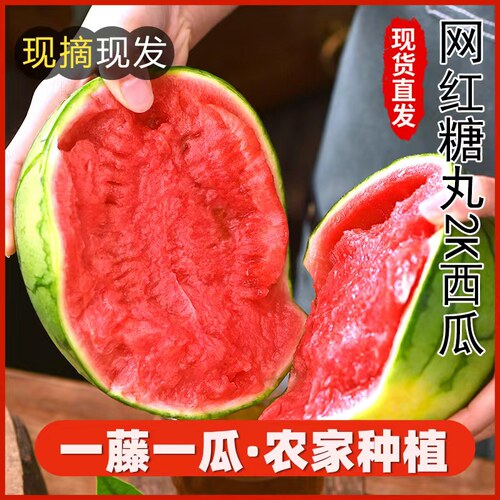 西瓜2k薄皮麒麟小西瓜包邮