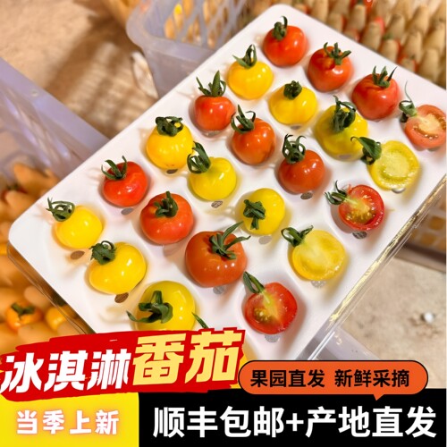 【顺丰】云南冰淇淋小番茄水果西红柿新鲜皮薄软嫩多汁生吃小番茄