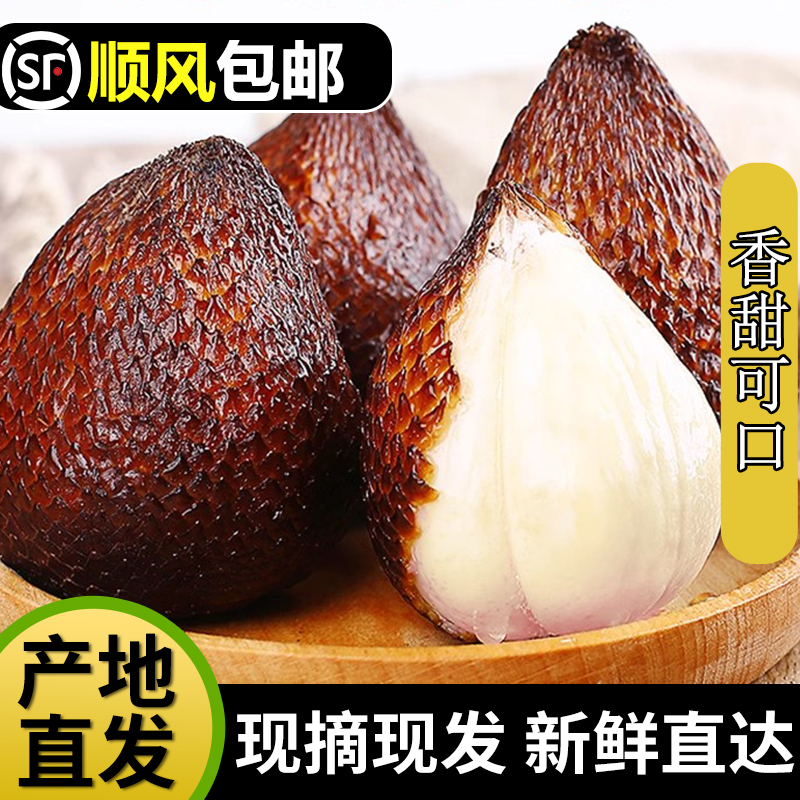 印尼蛇皮果新鲜进口水罕见