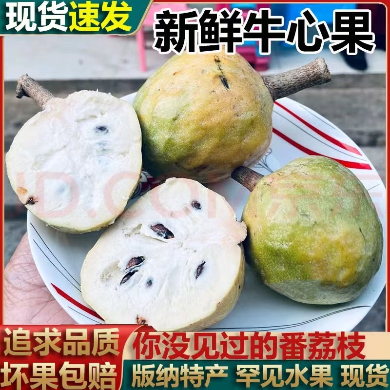 西双版纳西双版纳傣族牛心果当季新鲜牛心梨牛心番荔枝罕见水果,水产肉类/新鲜蔬果/熟食,番荔枝/释迦,淘宝优惠券,粉丝福利购,淘宝优惠卷