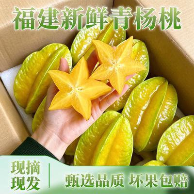 福建漳州杨桃新鲜水果整箱包邮当季现摘洋桃红扬桃五角星杨桃