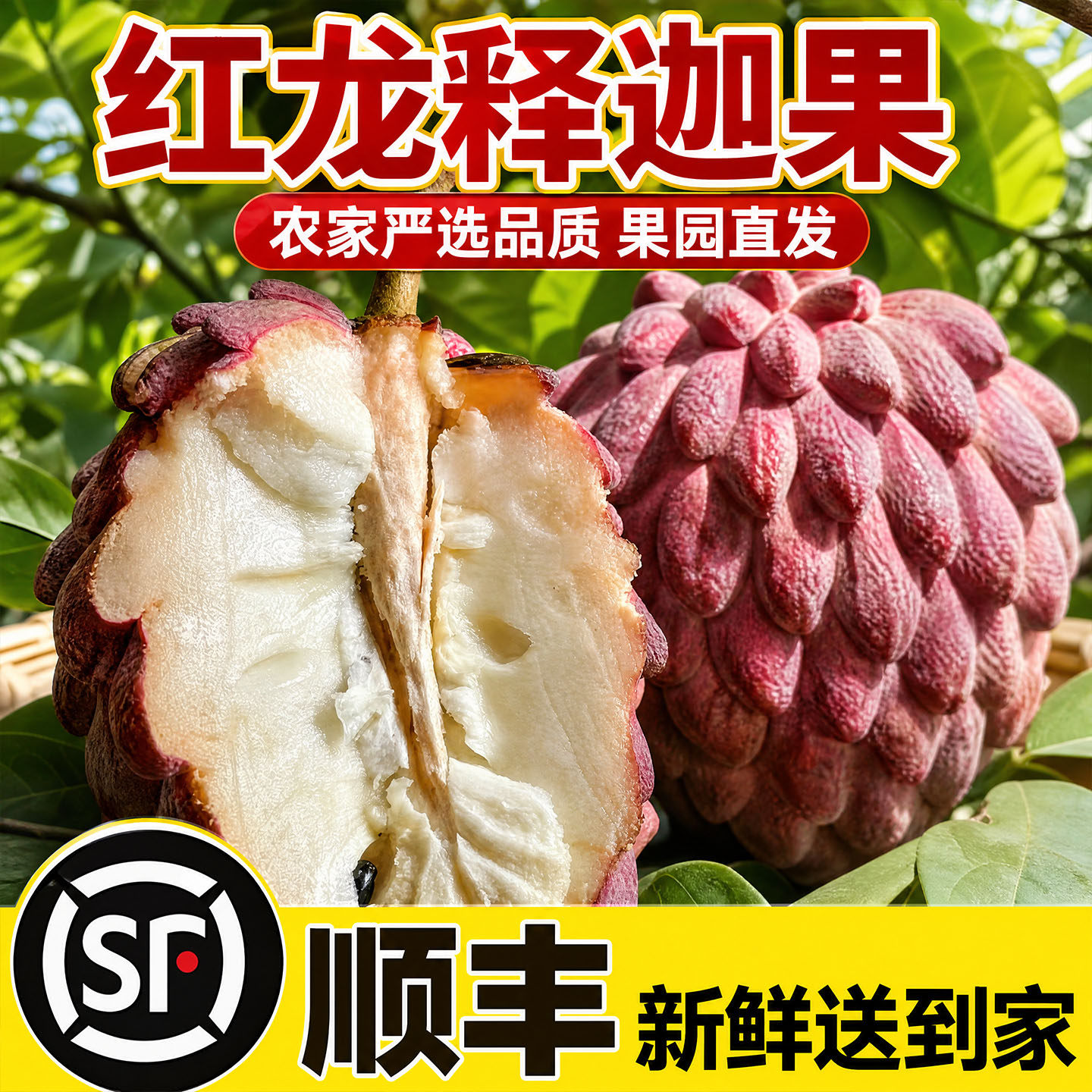 【顺丰空运】稀有红龙释迦果现摘玫瑰释迦大果海南番荔枝送礼5斤