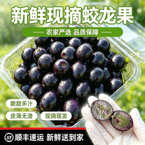 蛟龙果新鲜当季水果葡萄黑珍珠罕见稀有水果无籽树葡萄非嘉宝果